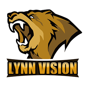 lynn vision