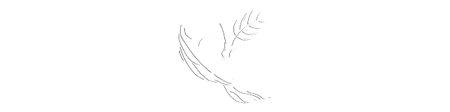 DreamHack Exhibitor Anthony Nguyen 1