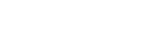 DreamHack partner TMtoys 1